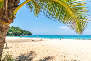 Güzel tropikal plaj ve Hindistan cevizi hurma ağacı Cennet Adası - tatil tatil kavramı ile