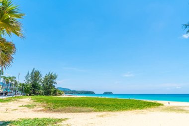 Güzel tropikal plaj ve Hindistan cevizi hurma ağacı Cennet Adası - tatil tatil kavramı ile