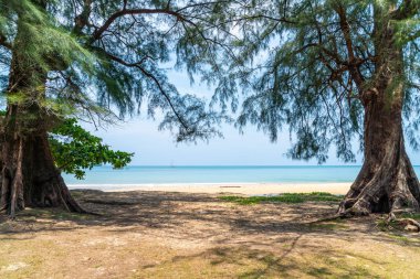 Güzel tropikal plaj ve deniz paradise Island - tatil tatil kavramı