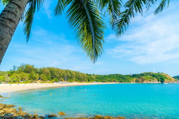 Belle Plage Tropicale Mer Avec Cocotier Dans Île Paradisiaque Vacances — Photo