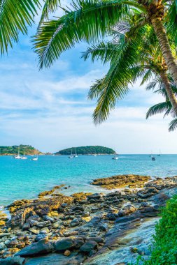 Güzel tropikal plaj ve Hindistan cevizi hurma ağacı Cennet Adası - tatil tatil kavramı ile