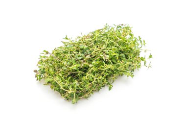 Beyaz arkaplanda izole edilmiş taze kekik