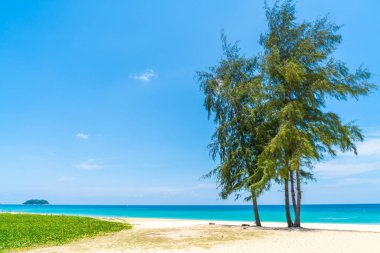 Güzel tropikal plaj ve Hindistan cevizi hurma ağacı Cennet Adası - tatil tatil kavramı ile