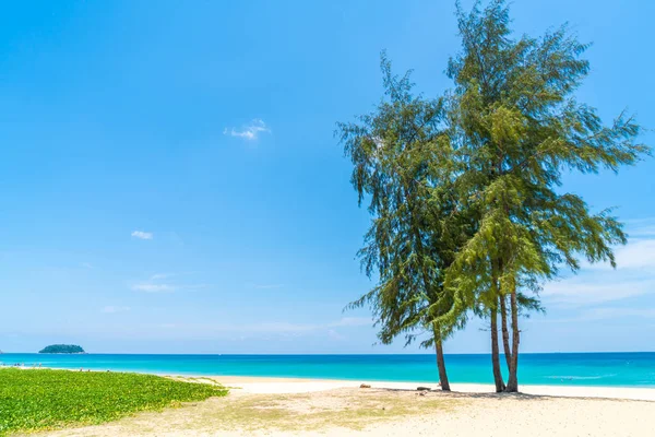 Güzel tropikal plaj ve Hindistan cevizi hurma ağacı Cennet Adası - tatil tatil kavramı ile