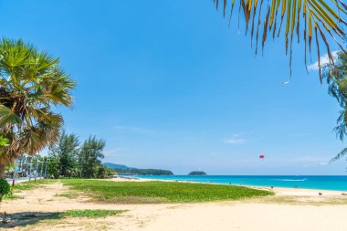 Güzel tropikal plaj ve Hindistan cevizi hurma ağacı Cennet Adası - tatil tatil kavramı ile