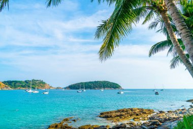 Güzel tropikal plaj ve Hindistan cevizi hurma ağacı Cennet Adası - tatil tatil kavramı ile