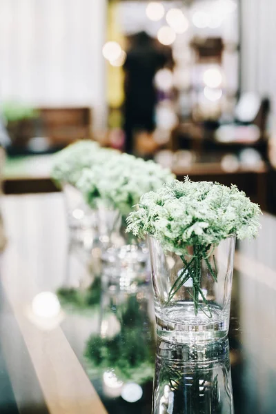 plant in vase decoration on table - vintage effect filter
