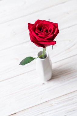 ahşap arka plan üzerinde kırmızı gül