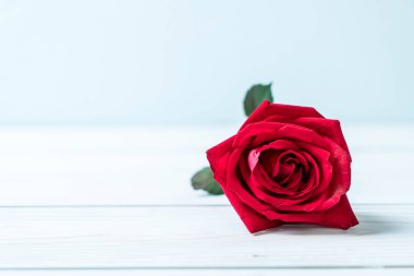 ahşap arka plan üzerinde kırmızı gül