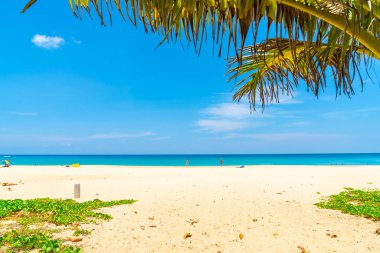 Güzel tropikal plaj ve Hindistan cevizi hurma ağacı Cennet Adası - tatil tatil kavramı ile
