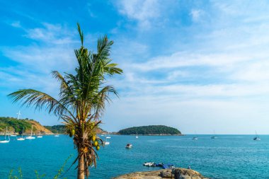 Güzel tropikal plaj ve Hindistan cevizi hurma ağacı Cennet Adası - tatil tatil kavramı ile