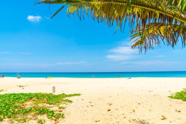 Güzel tropikal plaj ve Hindistan cevizi hurma ağacı Cennet Adası - tatil tatil kavramı ile