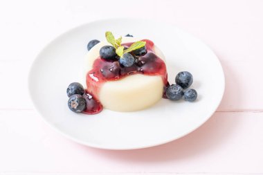 yoğurt puding taze yaban mersini - sağlıklı yemek ve tatlı ile