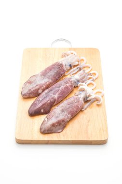 taze ahtapot veya mürekkep çiğ beyaz arka plan üzerinde izole