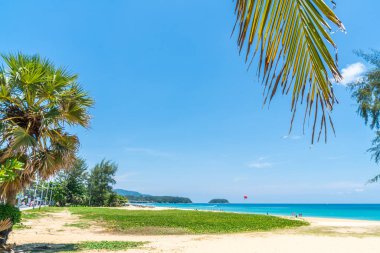 Güzel tropikal plaj ve Hindistan cevizi hurma ağacı Cennet Adası - tatil tatil kavramı ile