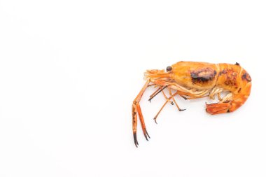 Beyaz arka plan üzerinde izole ızgara karides