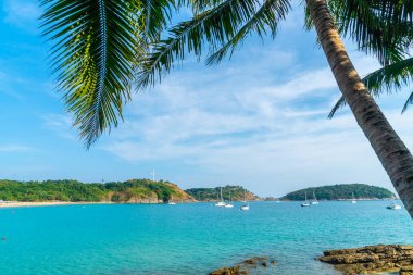 Güzel tropikal plaj ve Hindistan cevizi hurma ağacı Cennet Adası - tatil tatil kavramı ile