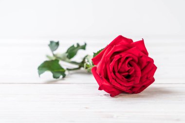 ahşap arka plan üzerinde kırmızı gül