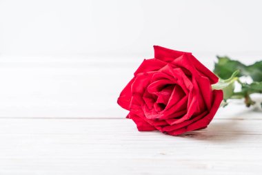 ahşap arka plan üzerinde kırmızı gül