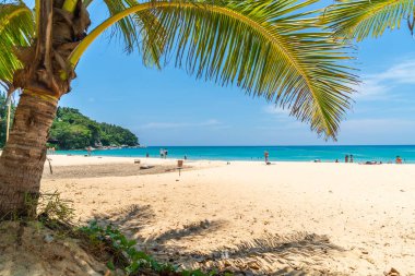 Güzel tropikal plaj ve Hindistan cevizi hurma ağacı Cennet Adası - tatil tatil kavramı ile