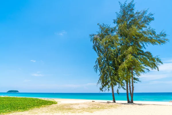 Пляж Море Кокосовой Пальмой Острове Парадизе Концепция Отпуска — стоковое фото