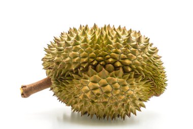 Beyaz arkaplanda izole edilmiş taze Durian meyvesi