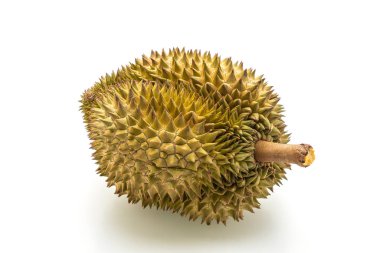 Beyaz arkaplanda izole edilmiş taze Durian meyvesi