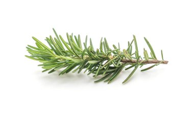 Beyaz arkaplanda taze biberiye izole edildi