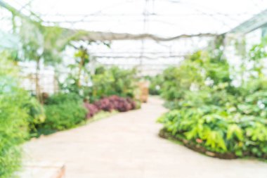 cam ev bahçe için arka plan bulanıklık