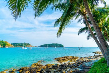 Güzel tropikal plaj ve Hindistan cevizi hurma ağacı Cennet Adası - tatil tatil kavramı ile
