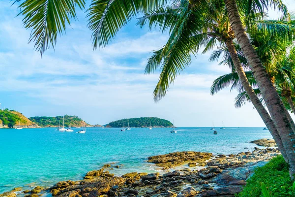 Güzel tropikal plaj ve Hindistan cevizi hurma ağacı Cennet Adası - tatil tatil kavramı ile
