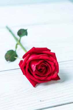 ahşap arka plan üzerinde kırmızı gül