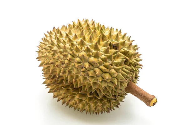 Beyaz arkaplanda izole edilmiş taze Durian meyvesi