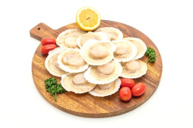 beyaz arkaplanda izole edilmiş taze deniz tarağı