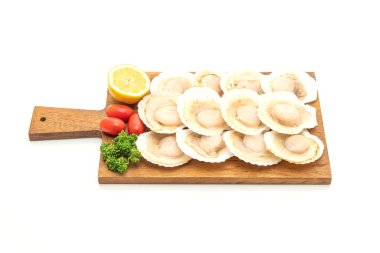 beyaz arkaplanda izole edilmiş taze deniz tarağı