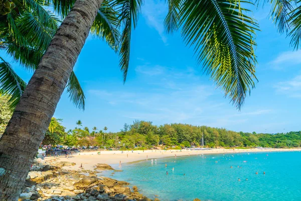 Güzel Tropikal Plaj Hindistan Cevizi Hurma Ağacı Cennet Adası Tatil — Stok fotoğraf
