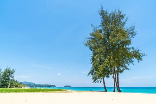 Güzel tropikal plaj ve Hindistan cevizi hurma ağacı Cennet Adası - tatil tatil kavramı ile