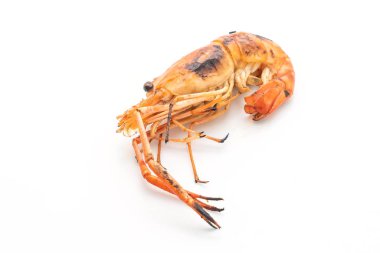 Beyaz arka plan üzerinde izole ızgara karides