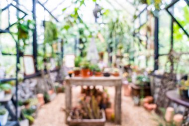 cam ev bahçe için arka plan bulanıklık