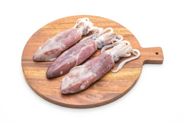 taze ahtapot veya mürekkep çiğ beyaz arka plan üzerinde izole