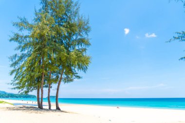 Güzel tropikal plaj ve Hindistan cevizi hurma ağacı Cennet Adası - tatil tatil kavramı ile