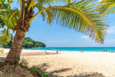 Güzel tropikal plaj ve Hindistan cevizi hurma ağacı Cennet Adası - tatil tatil kavramı ile