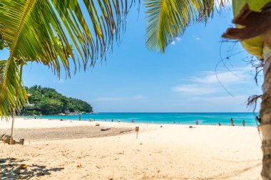 Güzel tropikal plaj ve Hindistan cevizi hurma ağacı Cennet Adası - tatil tatil kavramı ile