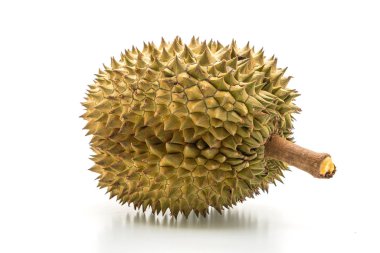 Beyaz arkaplanda izole edilmiş taze Durian meyvesi
