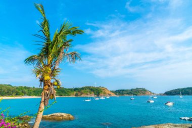 Güzel tropikal plaj ve Hindistan cevizi hurma ağacı Cennet Adası - tatil tatil kavramı ile