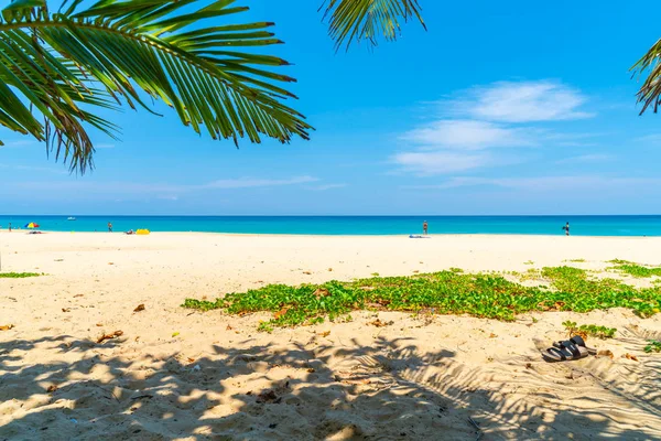 Güzel tropikal plaj ve Hindistan cevizi hurma ağacı Cennet Adası - tatil tatil kavramı ile