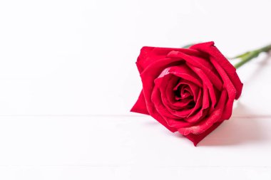 ahşap arka plan üzerinde kırmızı gül