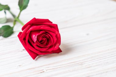 ahşap arka plan üzerinde kırmızı gül