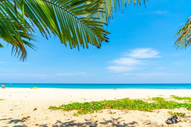 Güzel tropikal plaj ve Hindistan cevizi hurma ağacı Cennet Adası - tatil tatil kavramı ile