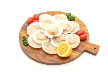 beyaz arkaplanda izole edilmiş taze deniz tarağı